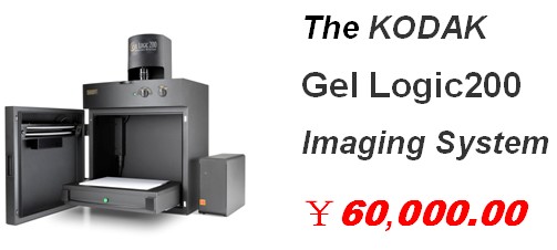 美国KODAK柯达产品促销  KODAK Gel Logic 200凝胶成像系统